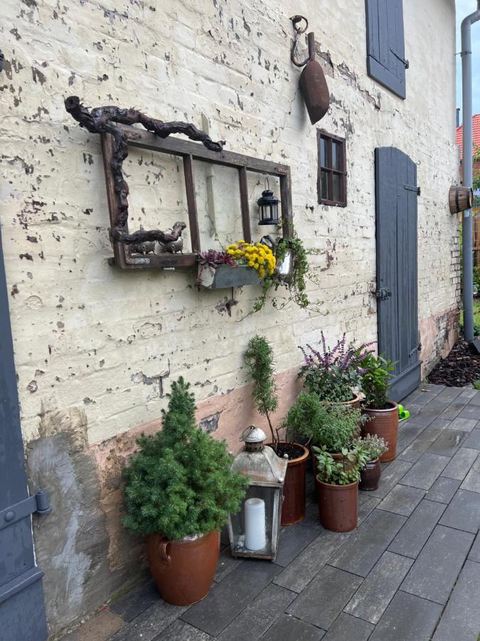 Wanderer Unterkunft Am Hexentanzplatz O Thale Exterior foto